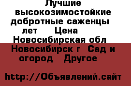 Лучшие высокозимостойкие добротные саженцы 2 лет.. › Цена ­ 450 - Новосибирская обл., Новосибирск г. Сад и огород » Другое   